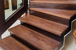 Northern Saw-Whet Owl