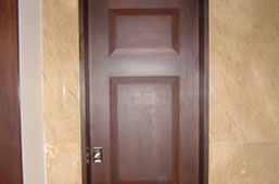 Northern Saw-Whet Owl