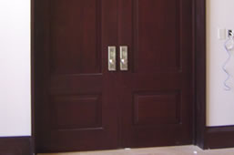 Northern Saw-Whet Owl